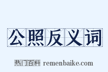 公照反义词是什么意思的图片